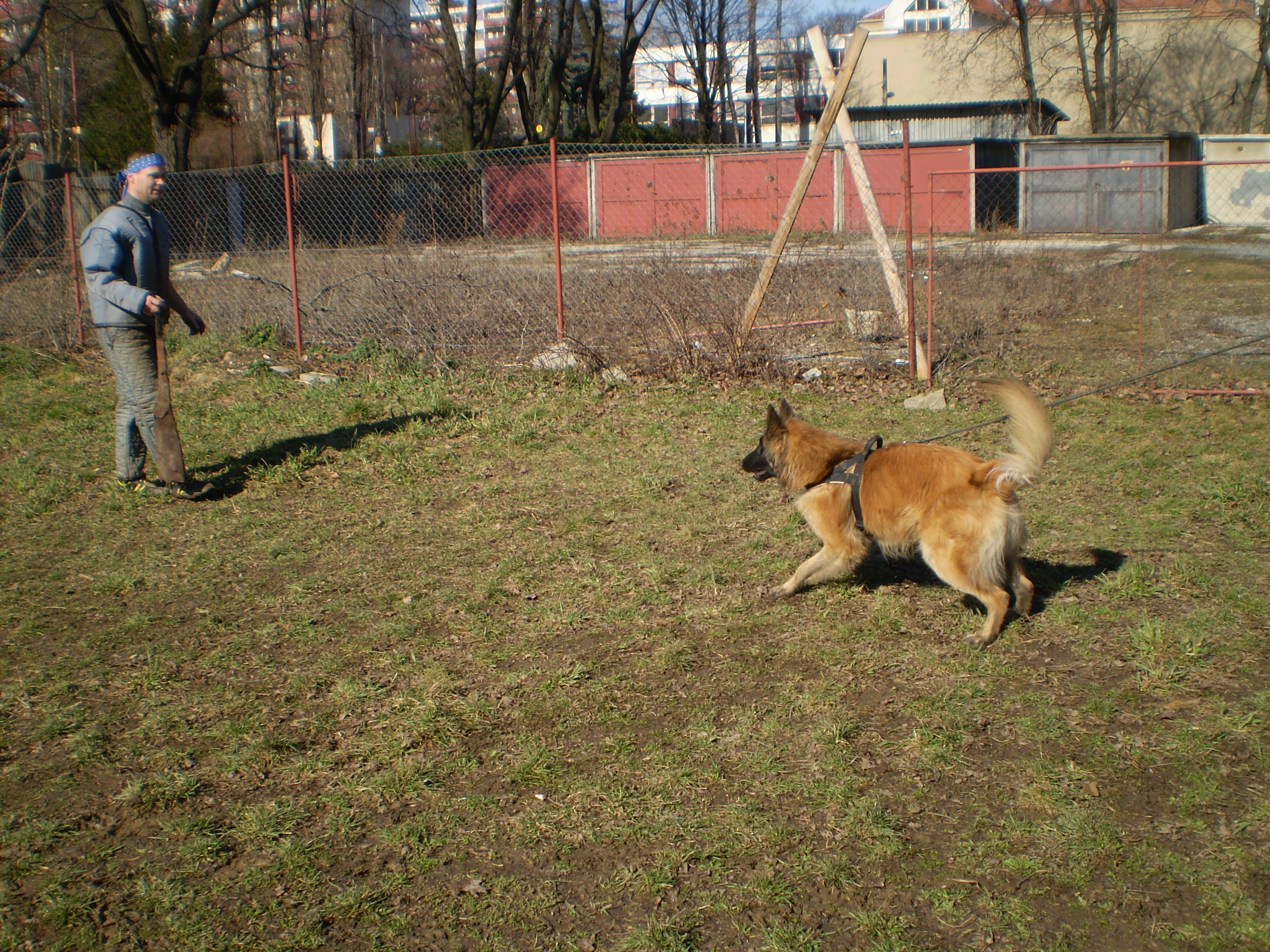 fotky olympus 037.jpg